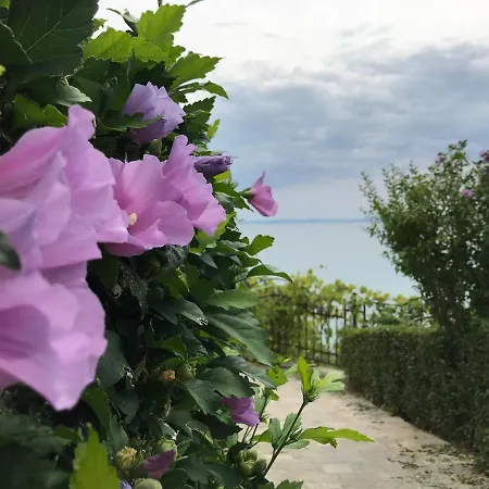 тhe Exlusive And Romantic On The Black Sea Apartament *